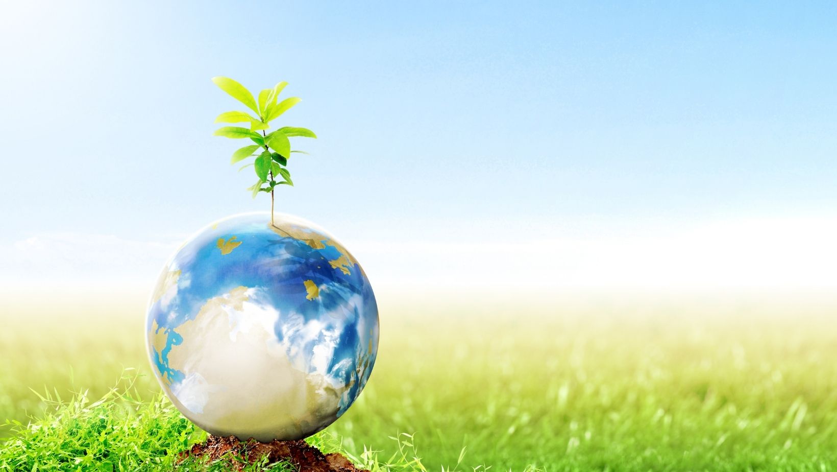 Neutral Multipurpose Photo Collage Facebook Cover 1