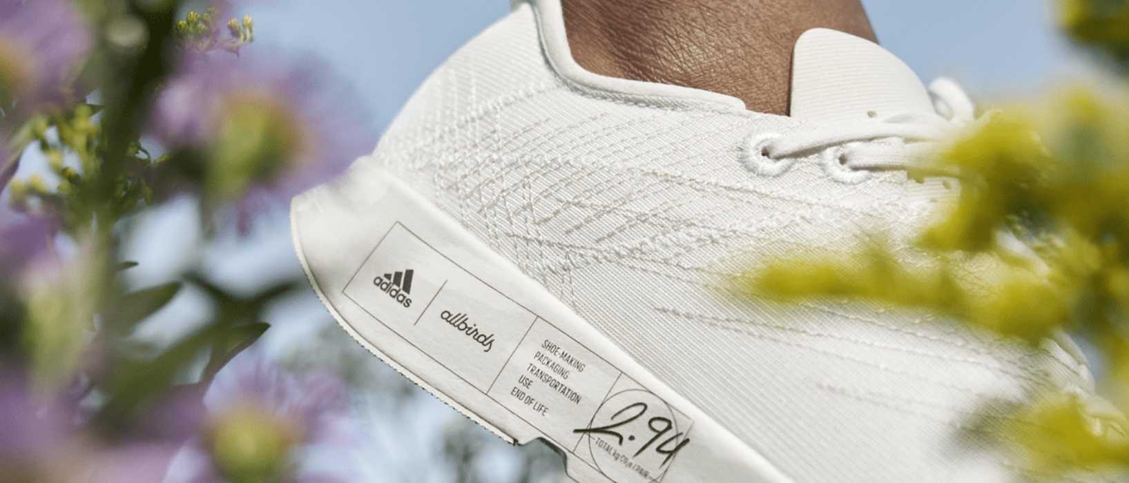 Allbirds