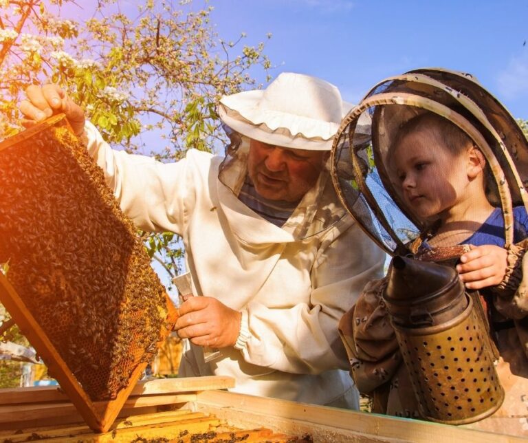 Bee 2