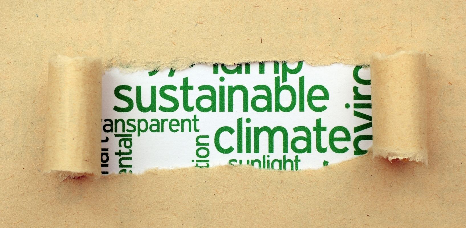 How can I be more sustainable Header