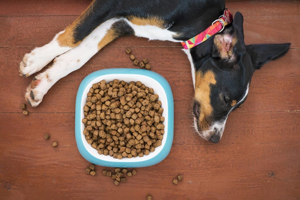 Pet Food scaled