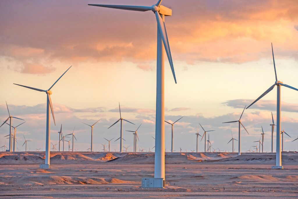 wind farm egypt scaled