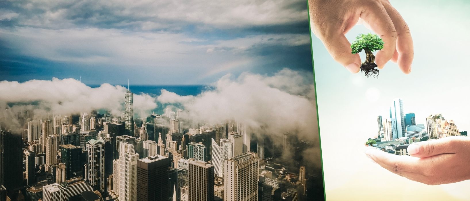 Website Header 55
