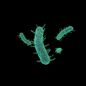 microbe scaled
