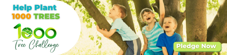 1000 Tree Challenge Front Banner