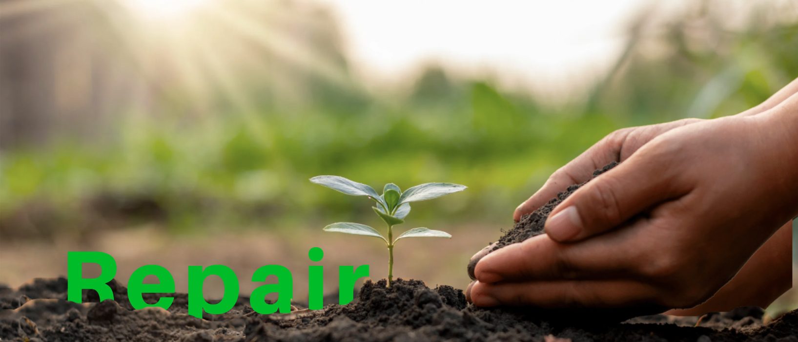 Repair Header
