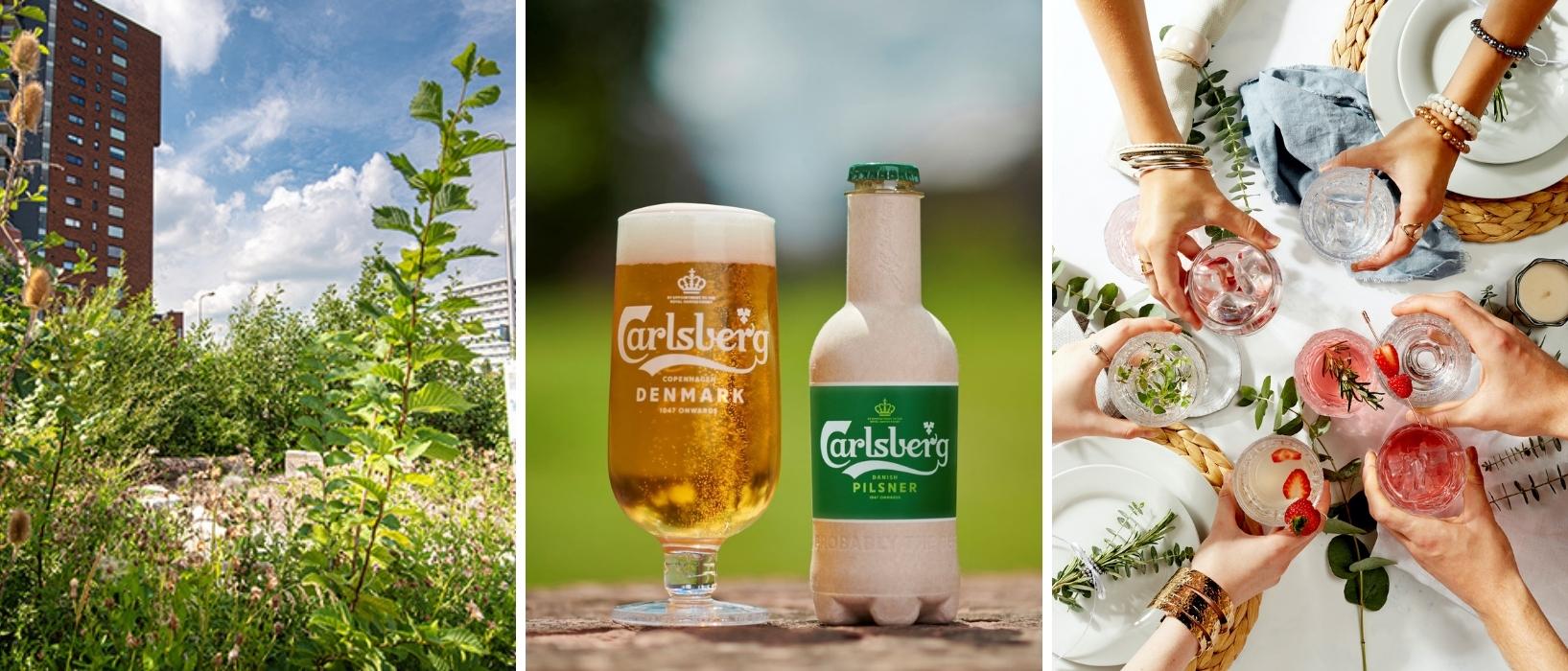 Website Header drinks