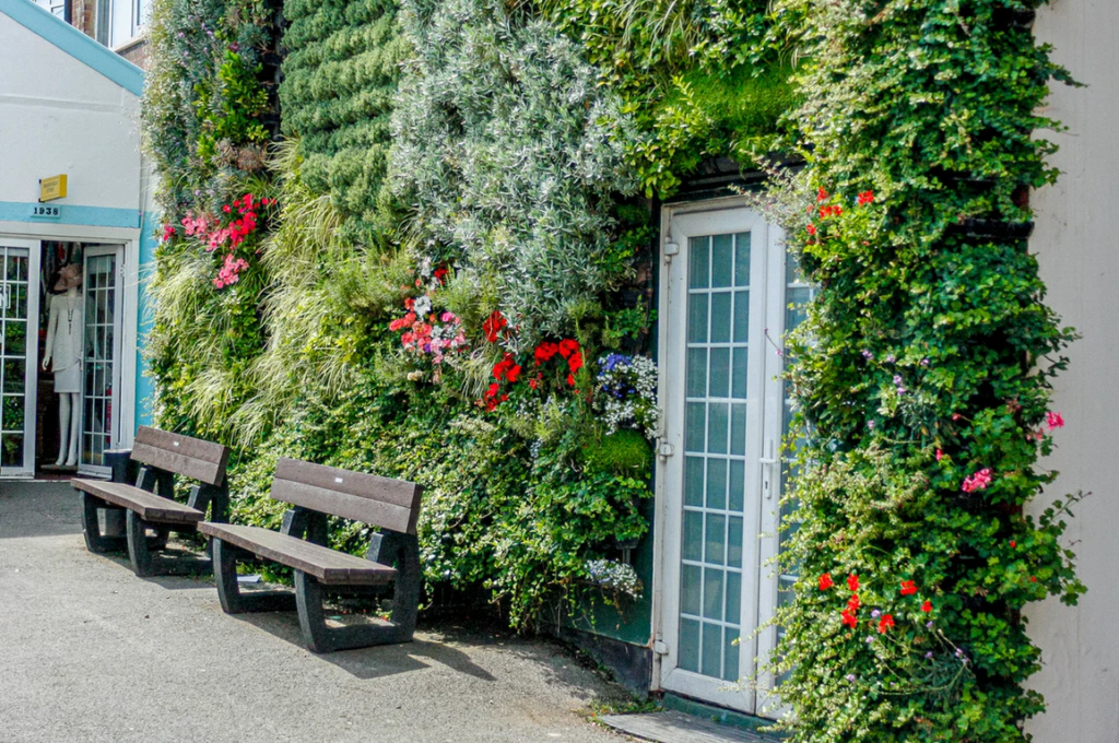 Commercial living wall Florentia Clothing Village London c Verti Grow 2022