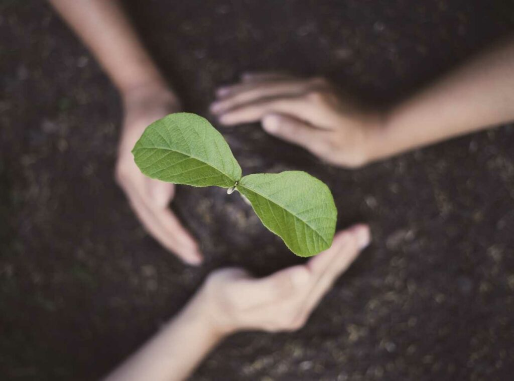 Nature Based Rebalancing 6