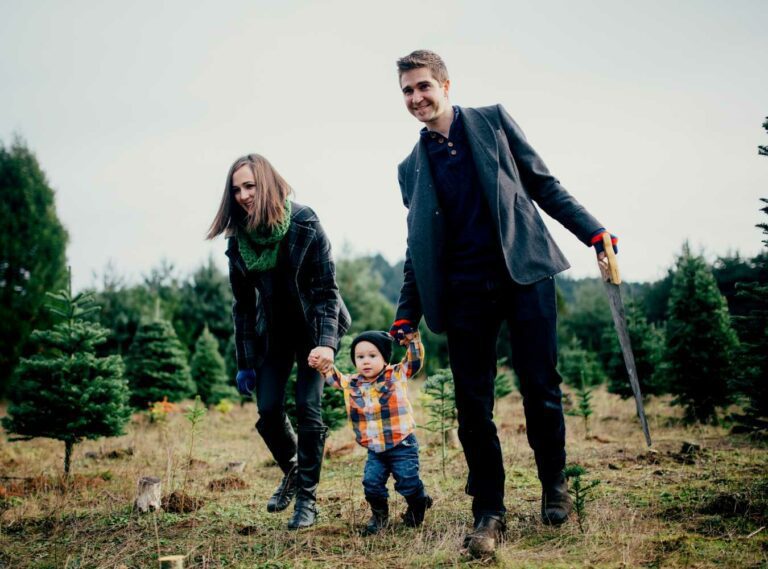 Buying a real Christmas tree is more sustainable