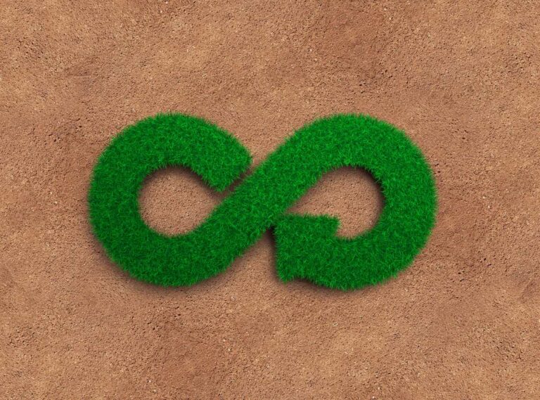 What Is a Circular Economy 2
