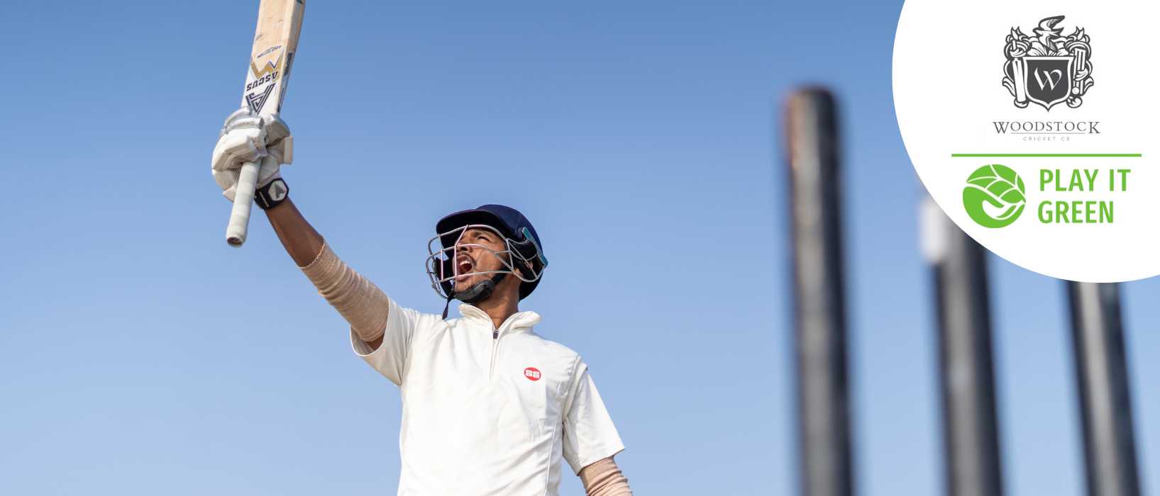 Woodstock Cricket 1