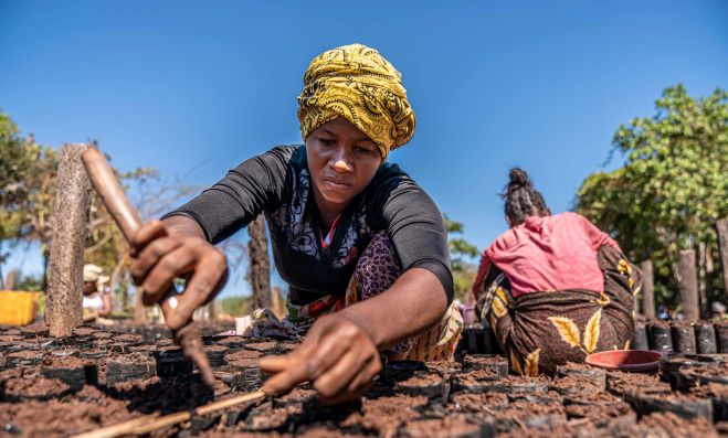 Tree planting in Madagascar with Play It Green