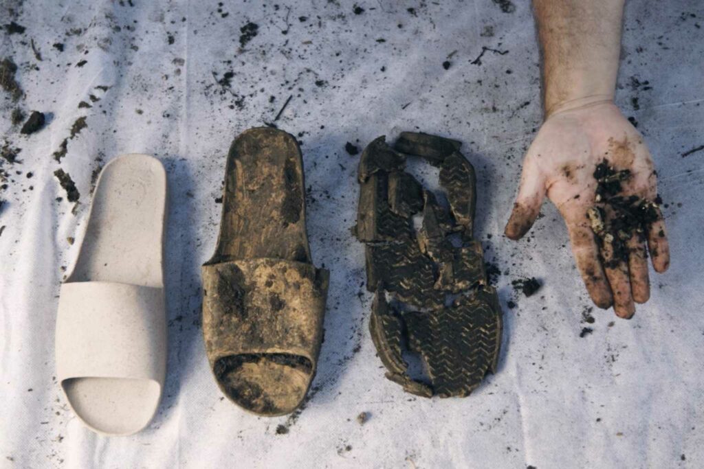 Balena slides completely decompose C Balena