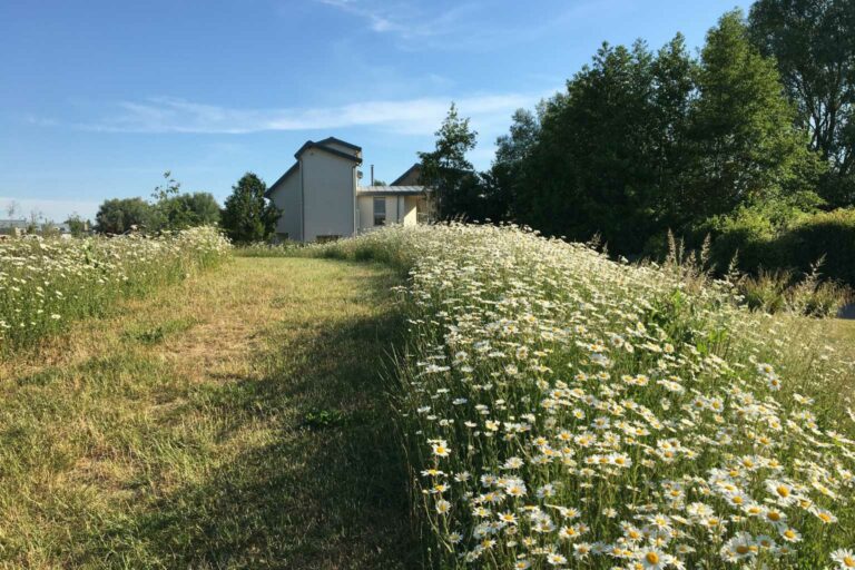 Habitat First Lower Mill Estate in the Cotswolds 1