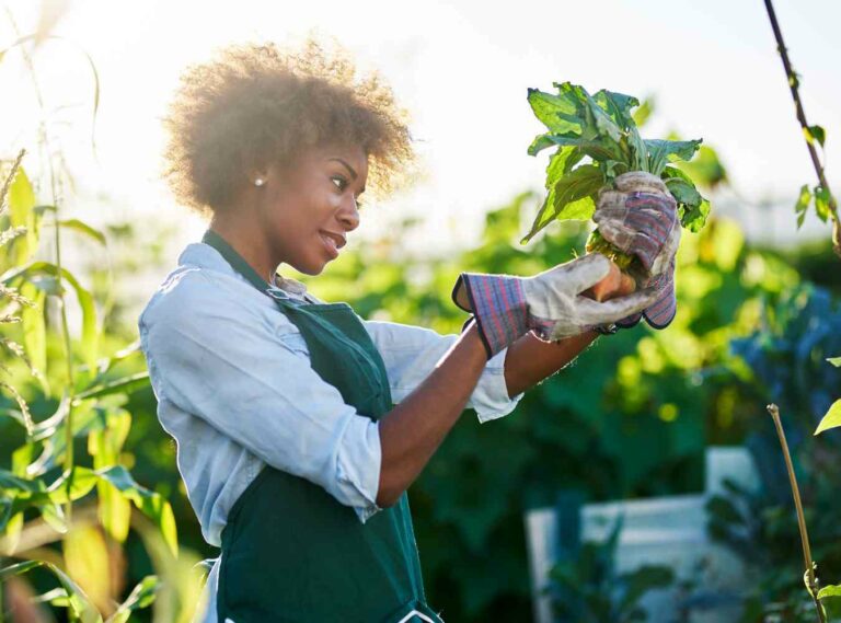 Planning and a lady lifting a plant