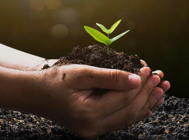 Sustainable New Year Resolution Protect The Environment