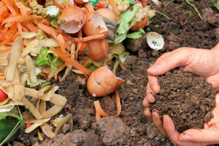 The Easiest Way To Go Green Compost Your food waste