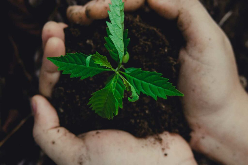 Turning plastic waste into soil enriching char
