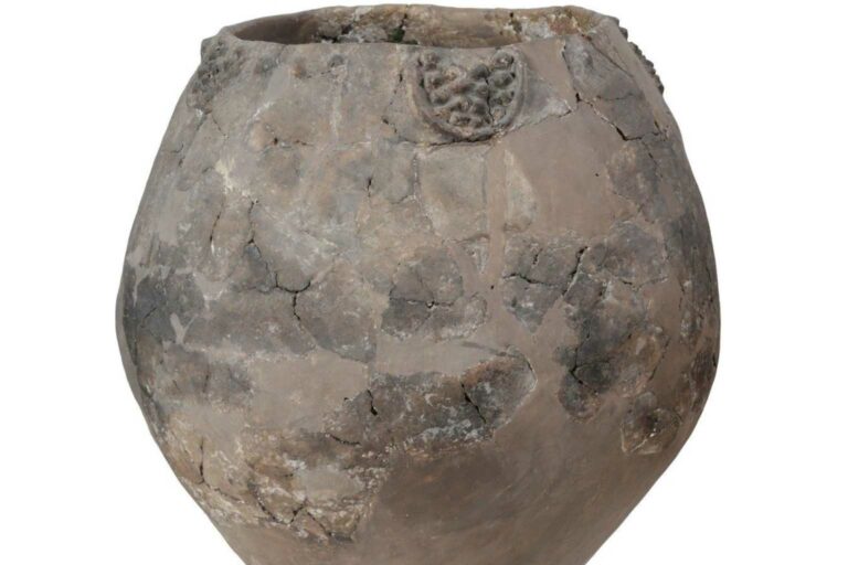 Sustainable Wine Worlds oldest wine found in Georgia is over 8000 years old