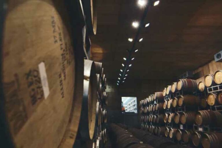 Sustainable Wines Cono Sur is a Chilean sustainable wine brand