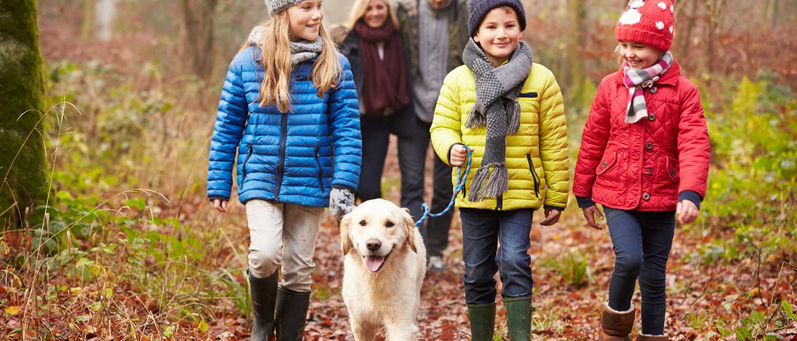 Walk Your Dog Sustainably Header