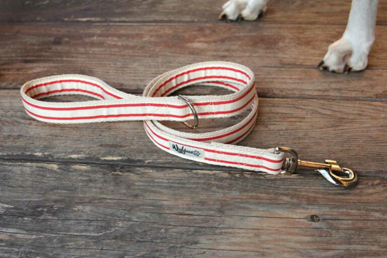 Walk your dog sustainably Wigglywoos hemp dog lead is stylish and mould resistant