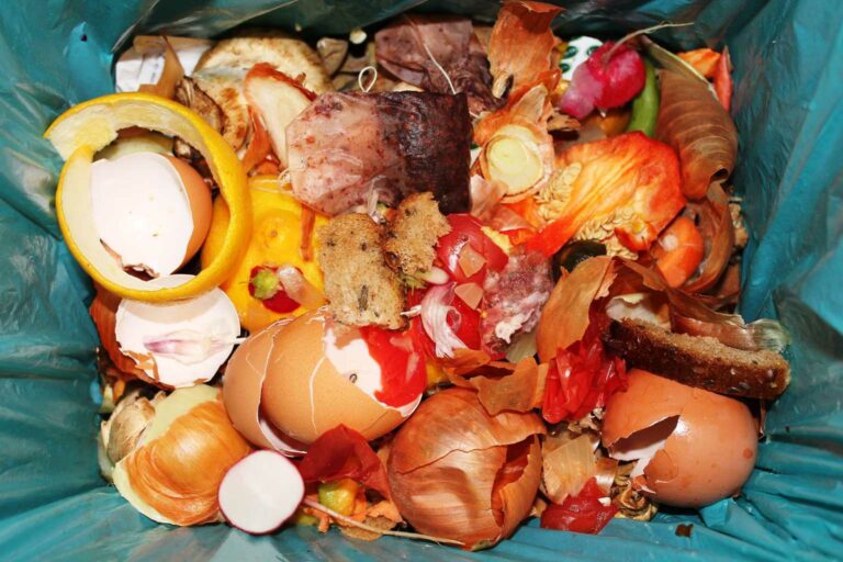 Compost Your food waste Councils now charge for food waste bags and the waste has to be transported