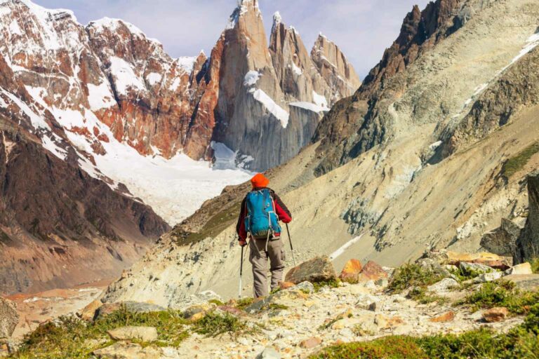 Going Green Patagonia has reached the peak of the sustainable business mountain