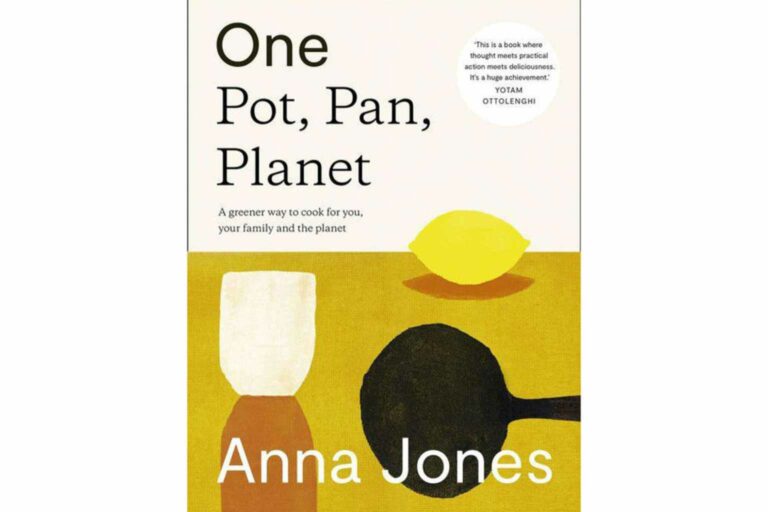 Sustainable Cookbooks One Pot One Pan One Planet by Anna Jones
