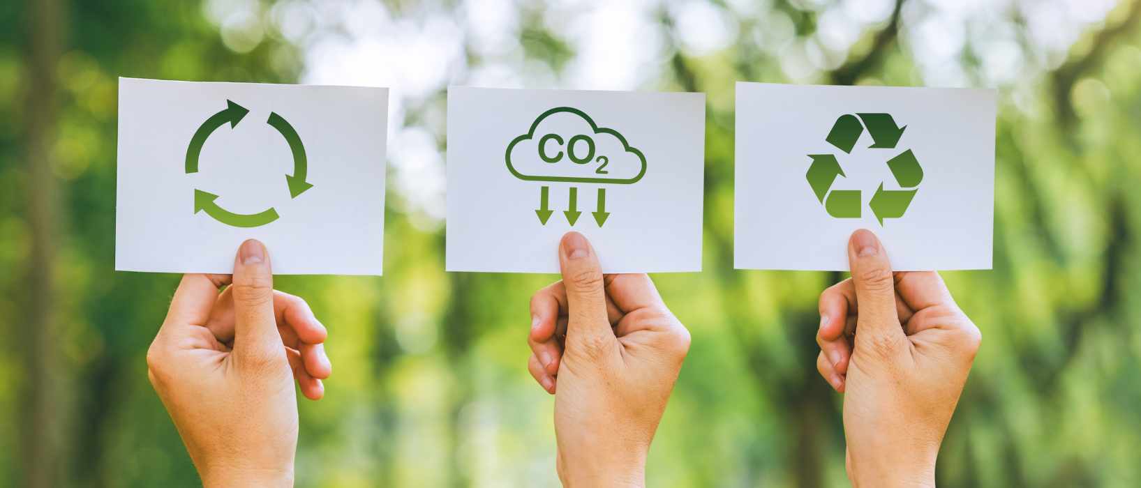 Sustainability Terms Ca to Cl Header