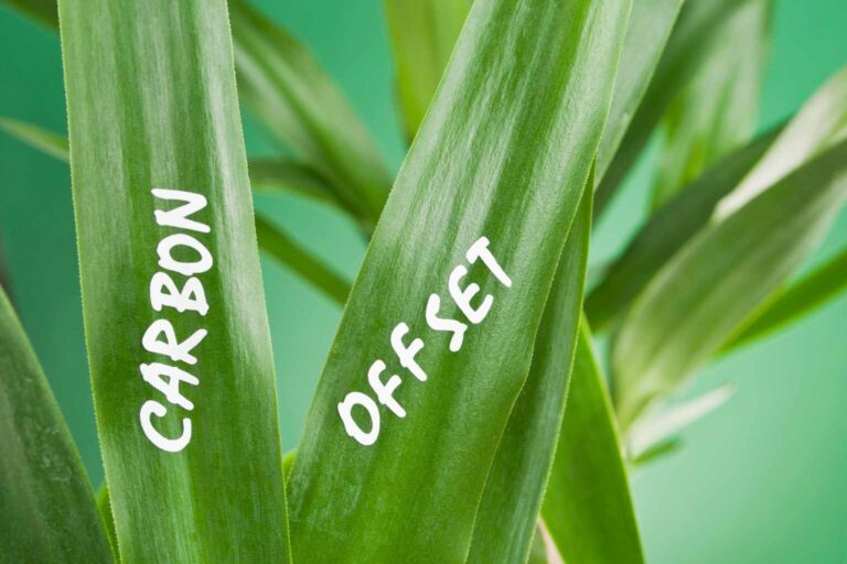 Sustainability Terms Ca to Cl Its important to choose the right offset initiaitives when climate impactting