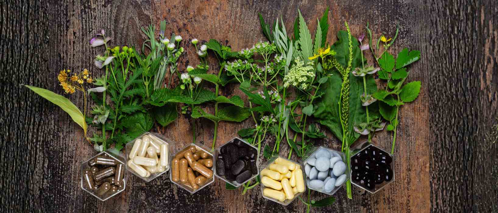 Sustainable Supplements Header