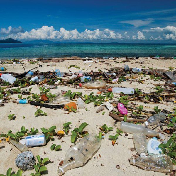 Ocean Plastic