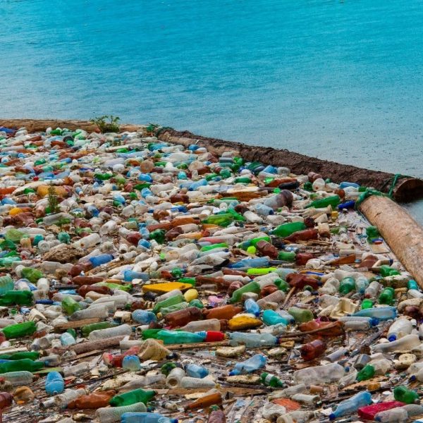 Plastic Bottles w